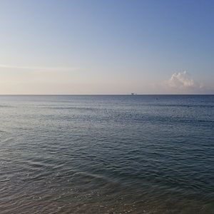 Meet your Posher, Jeffrey